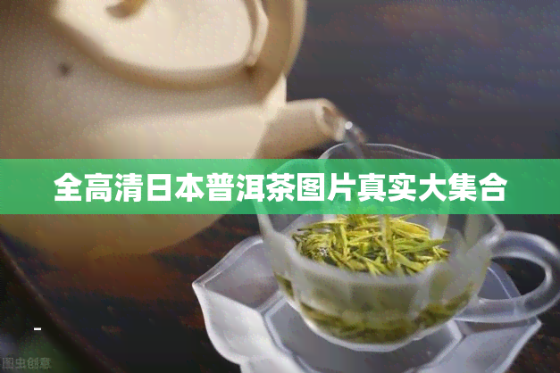 全高清普洱茶图片真实大     