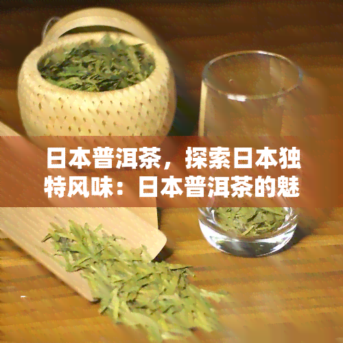 普洱茶，探索独特风味：普洱茶的魅力与鉴