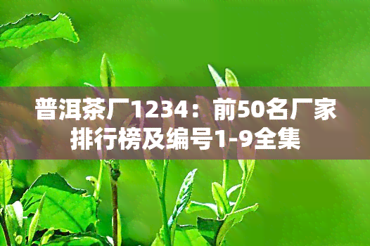 普洱茶厂1234：前50名厂家排行榜及编号1-9全集