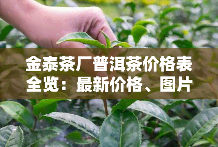 金泰茶厂普洱茶价格表全览：最新价格、图片一应俱全