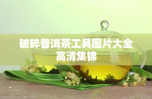 破碎普洱茶工具图片大全高清集锦