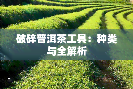 破碎普洱茶工具：种类与全解析