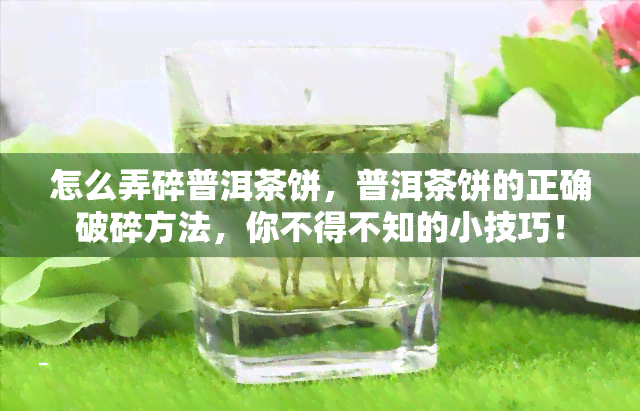 怎么弄碎普洱茶饼，普洱茶饼的正确破碎方法，你不得不知的小技巧！