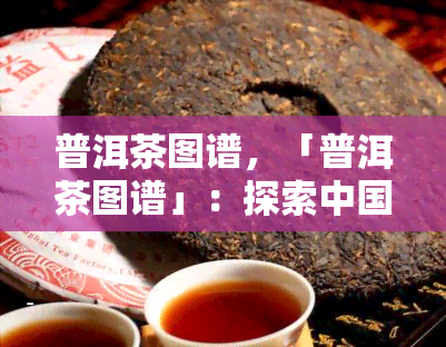 普洱茶图谱，「普洱茶图谱」：探索中国茶叶文化的视觉指南