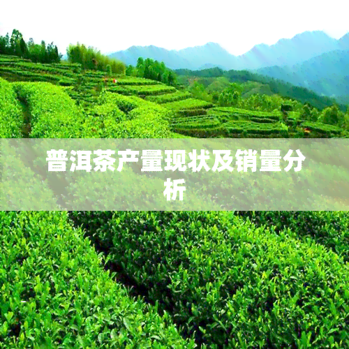 普洱茶产量现状及销量分析