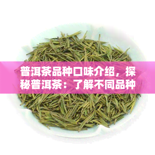 普洱茶品种口味介绍，探秘普洱茶：了解不同品种和口味的奇妙世界