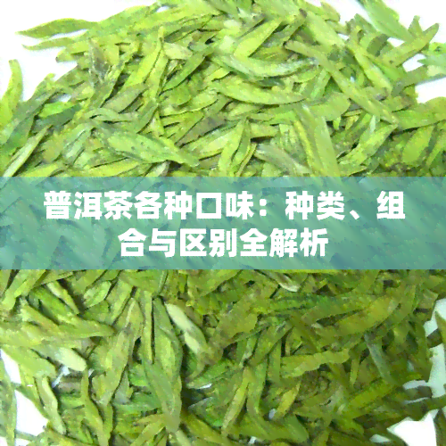 普洱茶各种口味：种类、组合与区别全解析