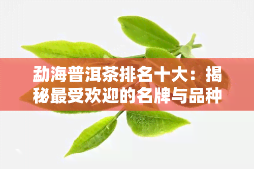 勐海普洱茶排名十大：揭秘更受欢迎的名牌与品种