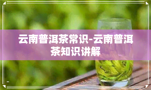 云南普洱茶常识-云南普洱茶知识讲解