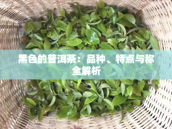 黑色的普洱茶：品种、特点与称全解析