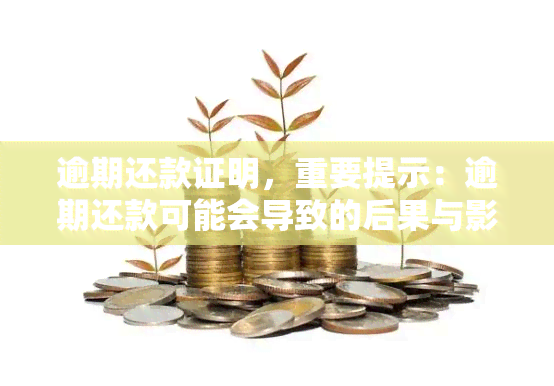 逾期还款证明，重要提示：逾期还款可能会导致的后果与影响