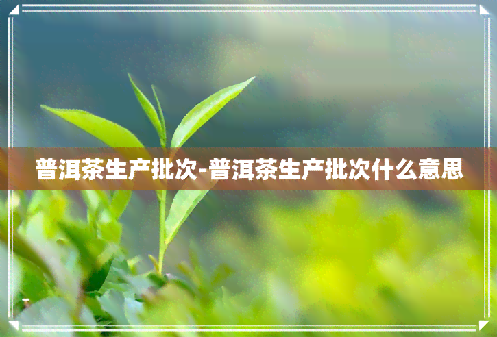 普洱茶生产批次-普洱茶生产批次什么意思