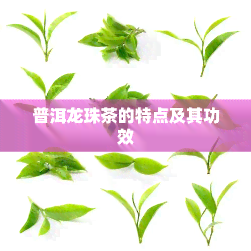 普洱龙珠茶的特点及其功效