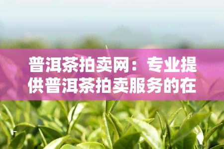 普洱茶拍卖网：专业提供普洱茶拍卖服务的在线平台