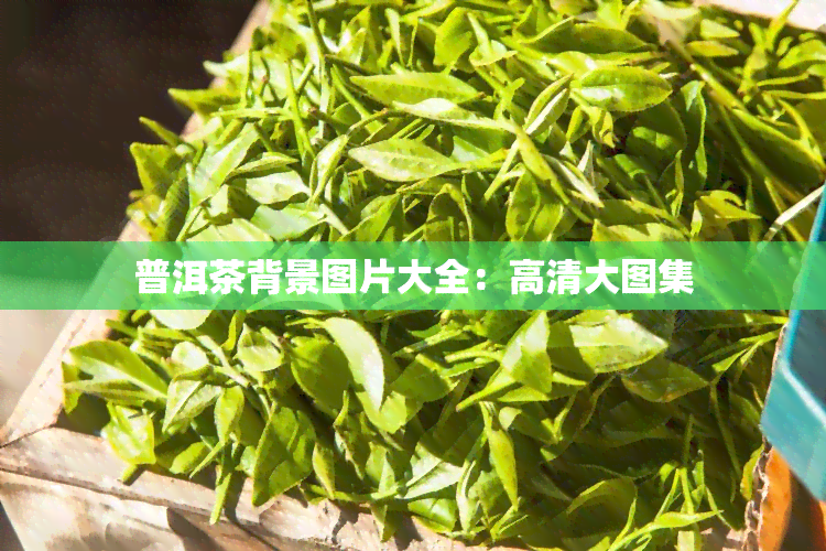 普洱茶背景图片大全：高清大图集