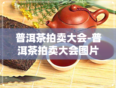 普洱茶拍卖大会-普洱茶拍卖大会图片