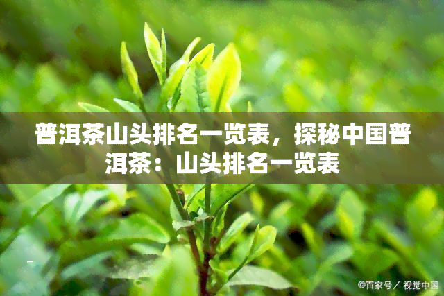 普洱茶山头排名一览表，探秘中国普洱茶：山头排名一览表