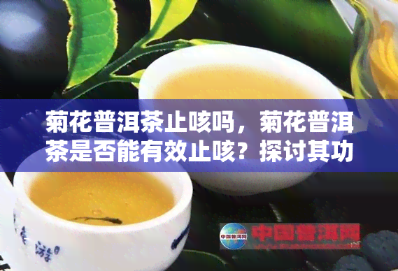 菊花普洱茶止咳吗，菊花普洱茶是否能有效止咳？探讨其功效与作用