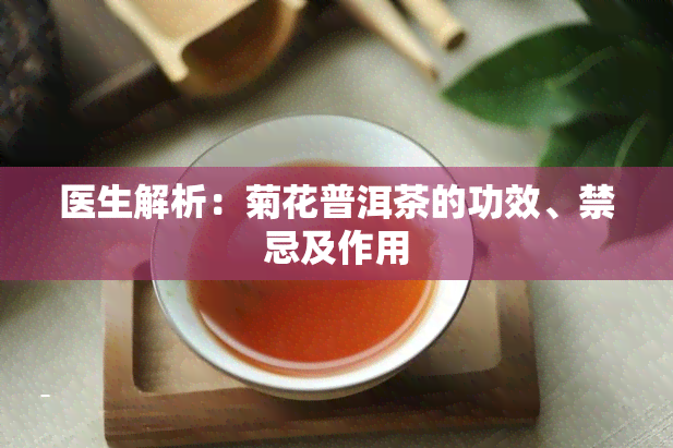 医生解析：菊花普洱茶的功效、禁忌及作用