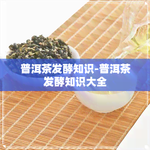 普洱茶发酵知识-普洱茶发酵知识大全