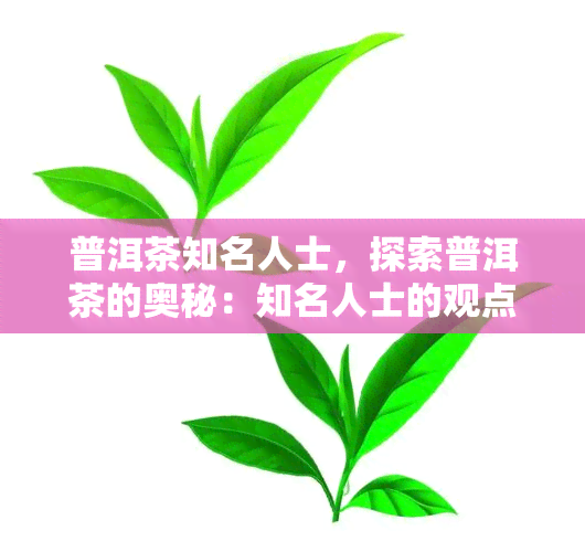 普洱茶知名人士，探索普洱茶的奥秘：知名人士的观点与心得