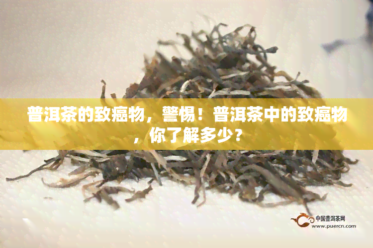 普洱茶的致癌物，警惕！普洱茶中的致癌物，你了解多少？