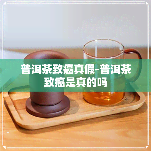 普洱茶致癌真假-普洱茶致癌是真的吗