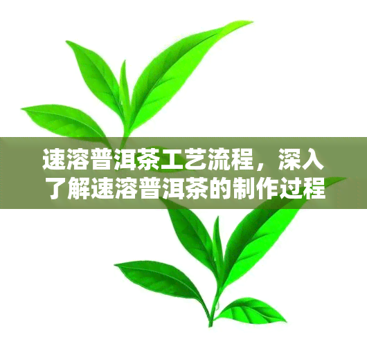 速溶普洱茶工艺流程，深入了解速溶普洱茶的制作过程：工艺流程解析