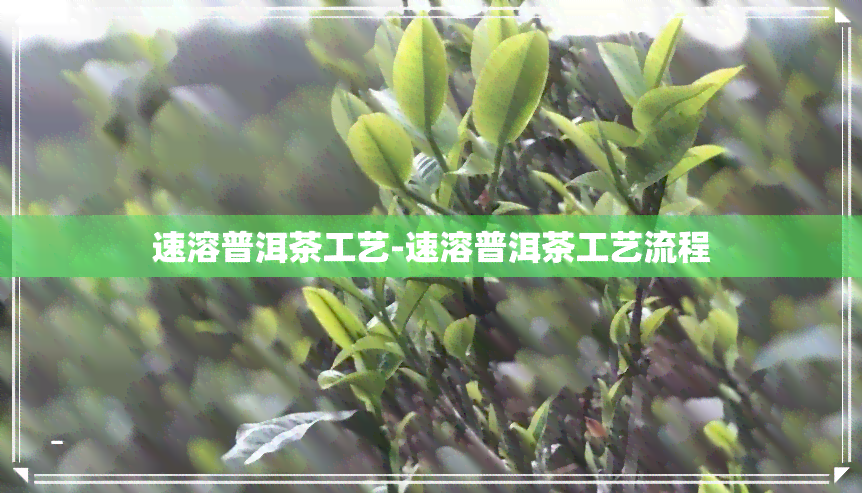 速溶普洱茶工艺-速溶普洱茶工艺流程