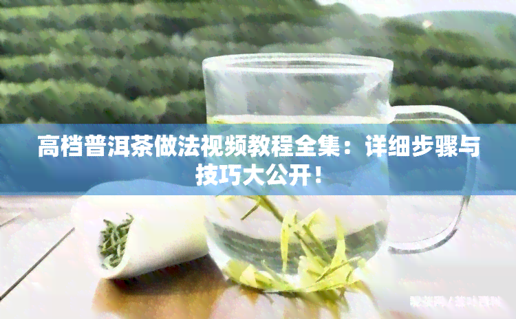 高档普洱茶做法视频教程全集：详细步骤与技巧大公开！