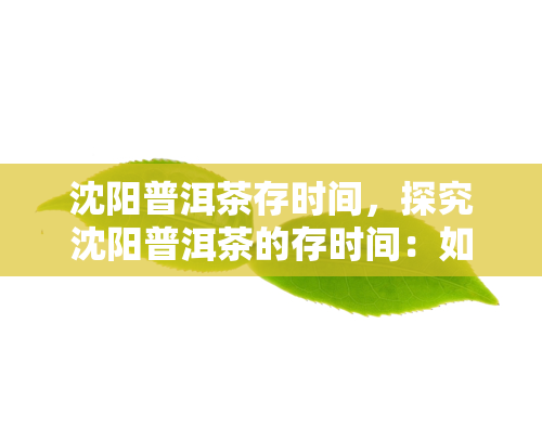 沈阳普洱茶存时间，探究沈阳普洱茶的存时间：如何让茶叶保持口感？