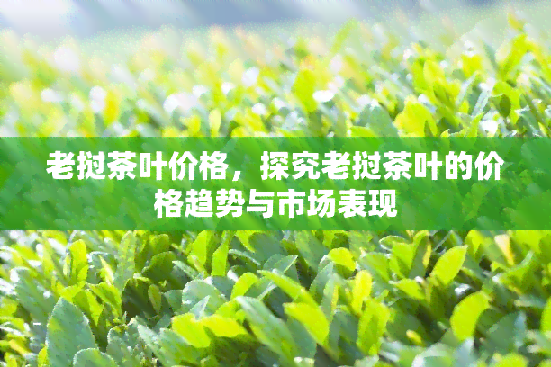 老挝茶叶价格，探究老挝茶叶的价格趋势与市场表现