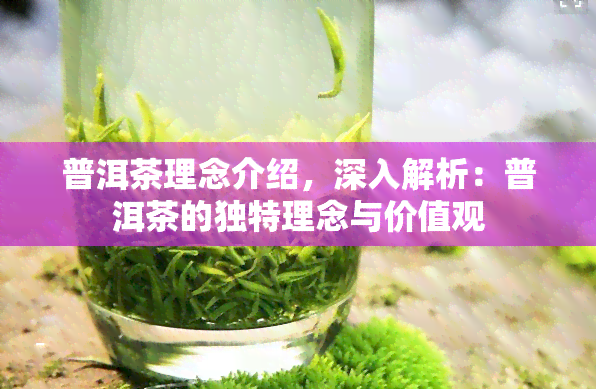 普洱茶理念介绍，深入解析：普洱茶的独特理念与价值观