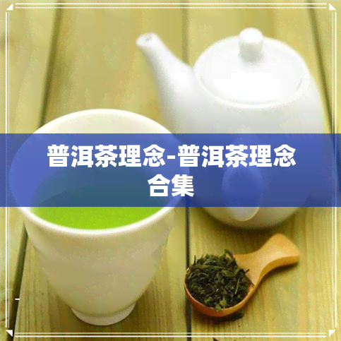 普洱茶理念-普洱茶理念合集