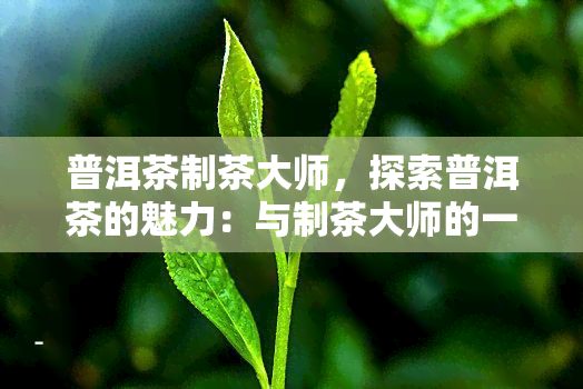 普洱茶制茶大师，探索普洱茶的魅力：与制茶大师的一次对话