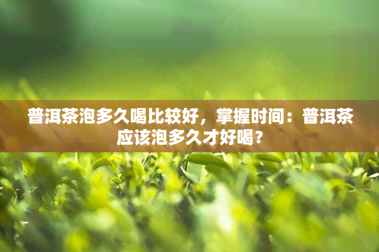 普洱茶泡多久喝比较好，掌握时间：普洱茶应该泡多久才好喝？