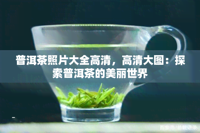 普洱茶照片大全高清，高清大图：探索普洱茶的美丽世界