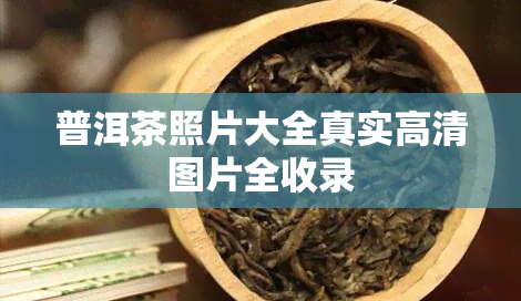 普洱茶照片大全真实高清图片全收录