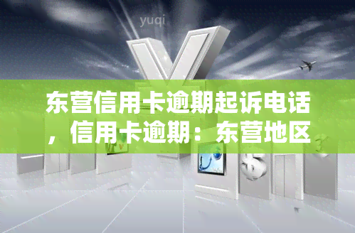 东营信用卡逾期起诉电话，信用卡逾期：东营地区可能面临法律诉讼，切勿忽视电话！