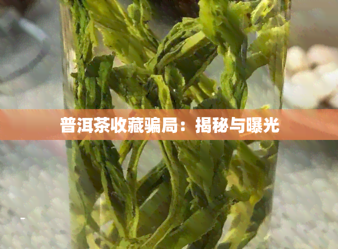 普洱茶收藏骗局：揭秘与曝光