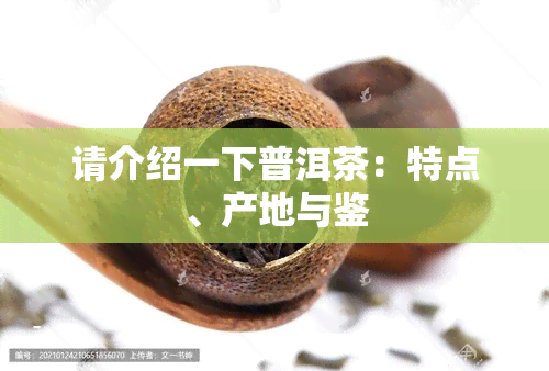 请介绍一下普洱茶：特点、产地与鉴