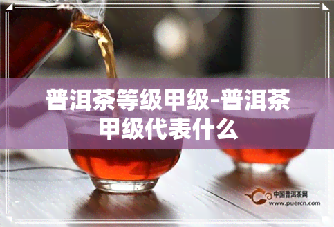 普洱茶等级甲级-普洱茶甲级代表什么