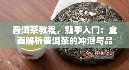 普洱茶教程，新手入门：全面解析普洱茶的冲泡与品鉴教程