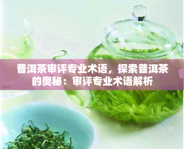 普洱茶审评专业术语，探索普洱茶的奥秘：审评专业术语解析