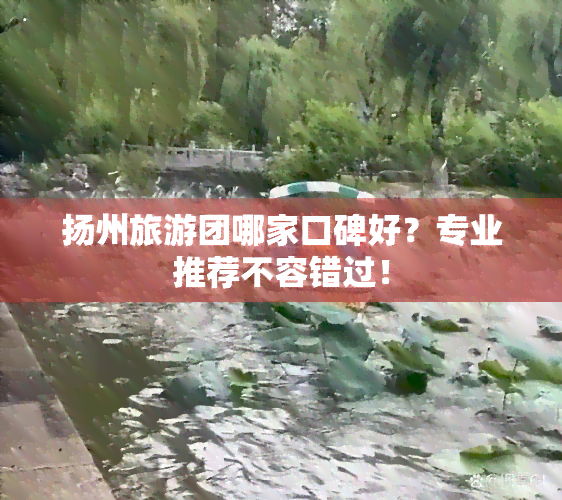 扬州旅游团哪家口碑好？专业推荐不容错过！