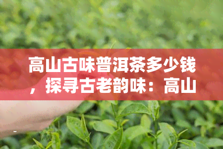 高山古味普洱茶多少钱，探寻古老韵味：高山古味普洱茶的价格解析