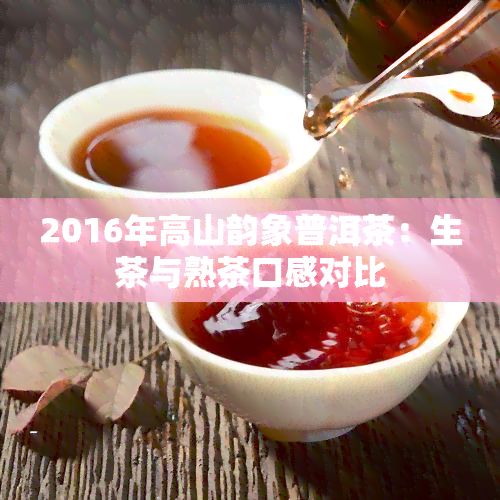 2016年高山韵象普洱茶：生茶与熟茶口感对比