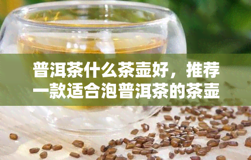 普洱茶什么茶壶好，推荐一款适合泡普洱茶的茶壶，让你品味更佳！