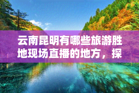 云南昆明有哪些旅游胜地现场直播的地方，探索云南昆明：揭秘热门旅游景点及直播地点！