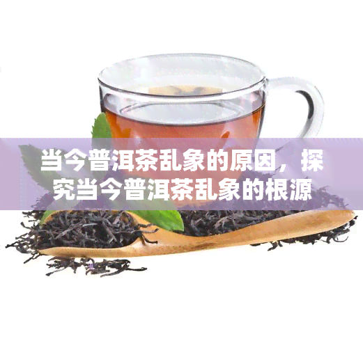 当今普洱茶乱象的原因，探究当今普洱茶乱象的根源